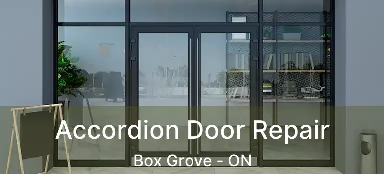 Accordion Door Repair Box Grove - ON