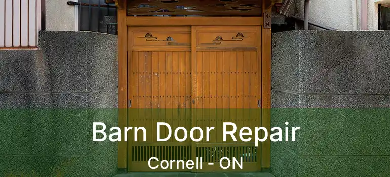 Barn Door Repair Cornell - ON