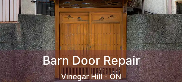Barn Door Repair Vinegar Hill - ON