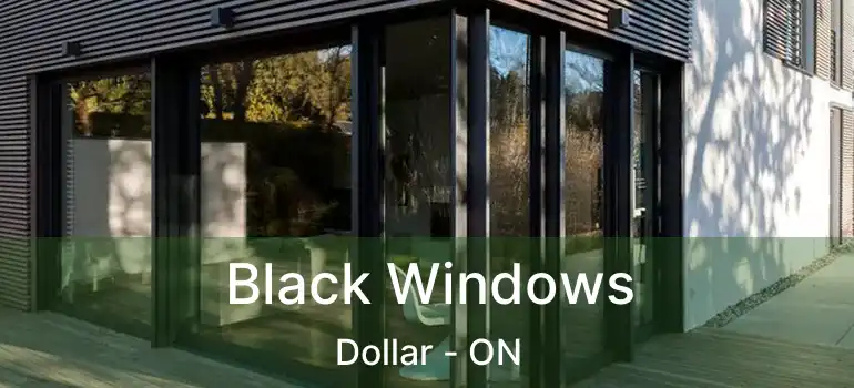 Black Windows Dollar - ON