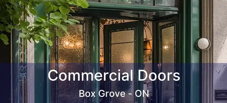 Commercial Doors Box Grove - ON