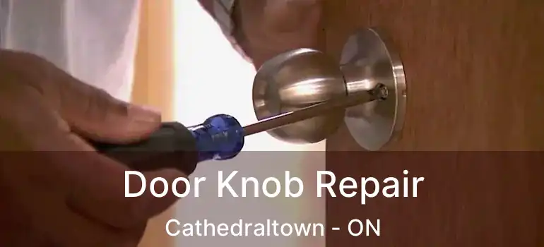 Door Knob Repair Cathedraltown - ON