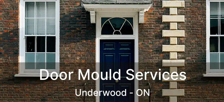 Door Mould Services Underwood - ON