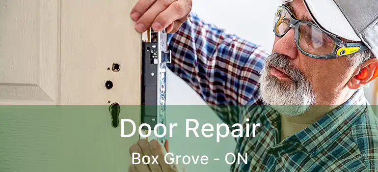 Door Repair Box Grove - ON