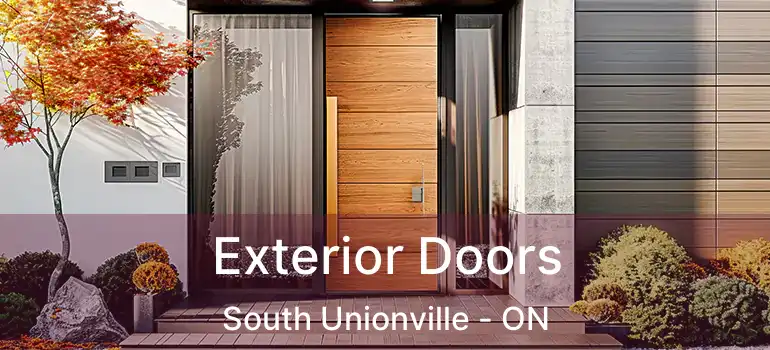 Exterior Doors South Unionville - ON