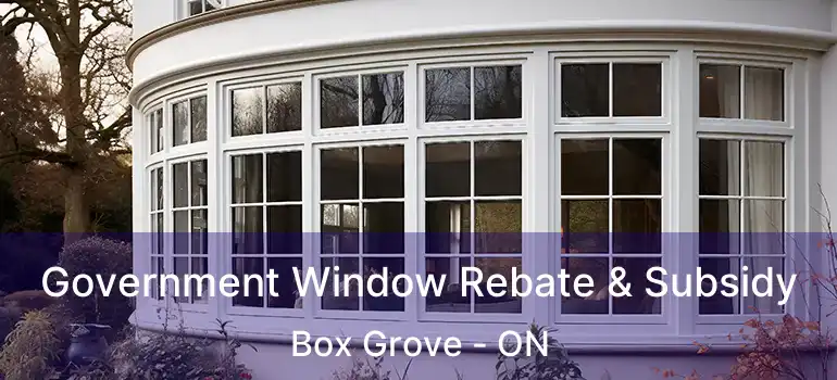 Government Window Rebate & Subsidy Box Grove - ON