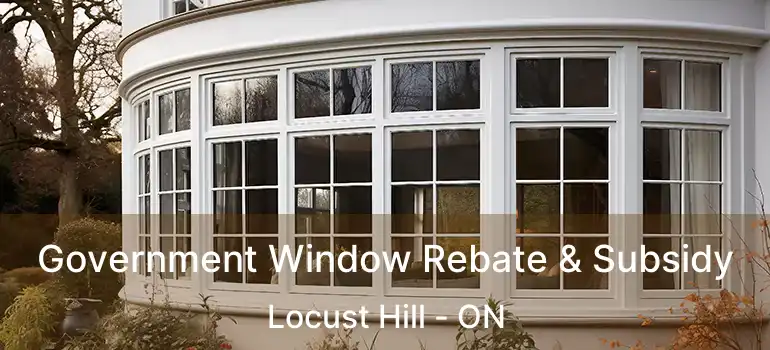 Government Window Rebate & Subsidy Locust Hill - ON