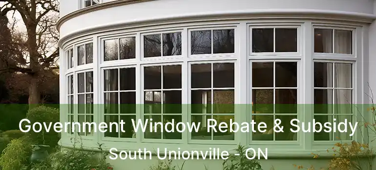 Government Window Rebate & Subsidy South Unionville - ON