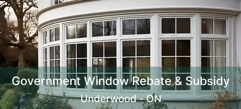 Government Window Rebate & Subsidy Underwood - ON