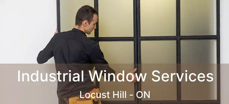 Industrial Window Services Locust Hill - ON