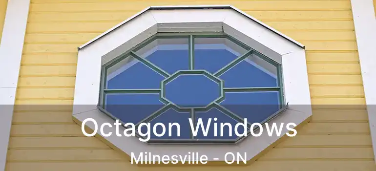  Octagon Windows Milnesville - ON