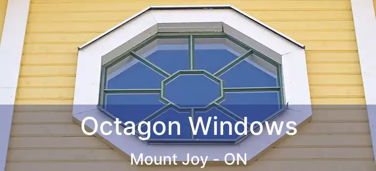 Octagon Windows Mount Joy - ON