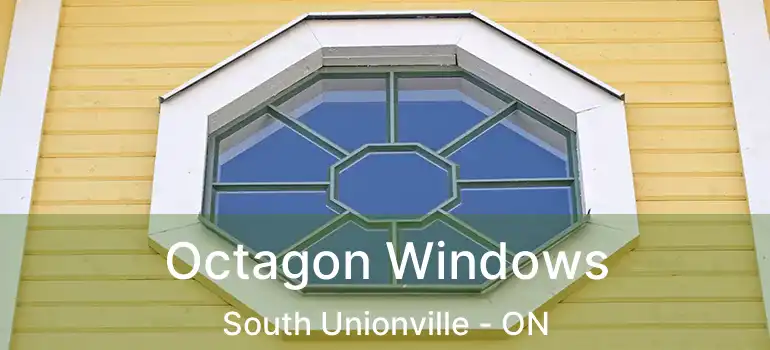 Octagon Windows South Unionville - ON