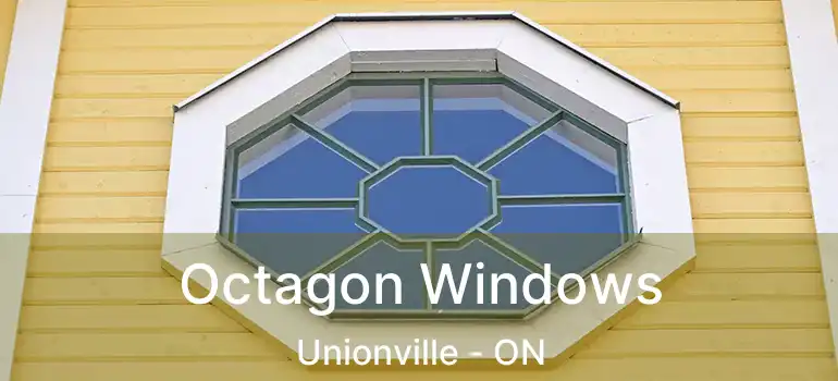 Octagon Windows Unionville - ON