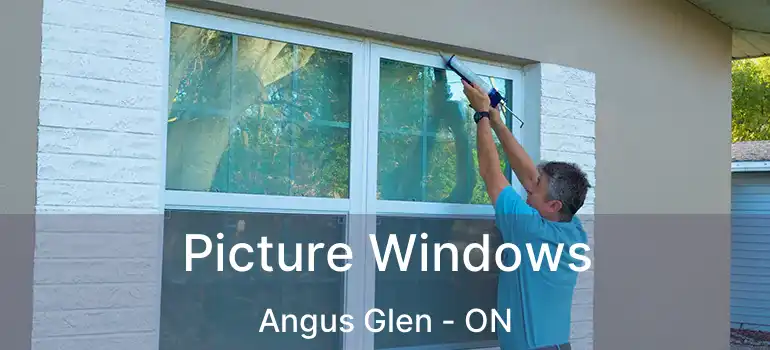 Picture Windows Angus Glen - ON