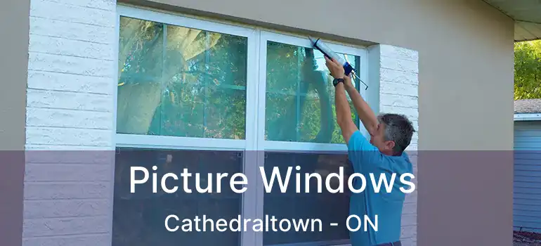 Picture Windows Cathedraltown - ON