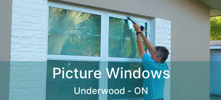 Picture Windows Underwood - ON