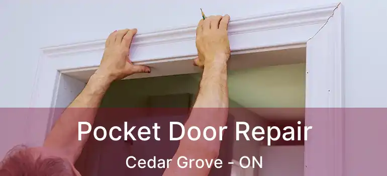 Pocket Door Repair Cedar Grove - ON