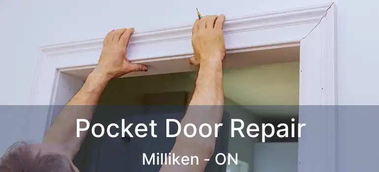 Pocket Door Repair Milliken - ON