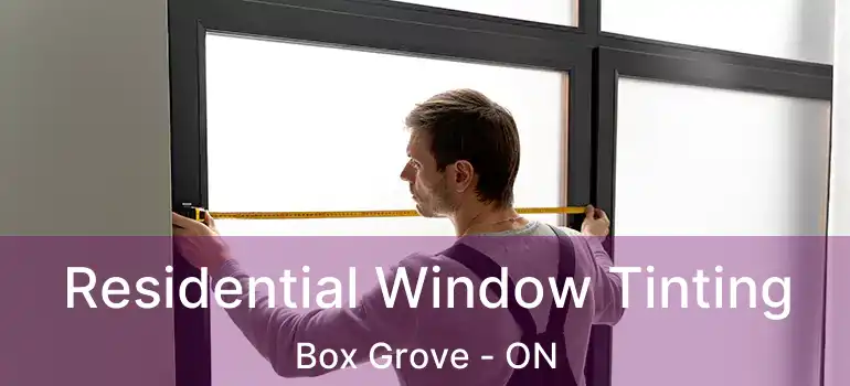 Residential Window Tinting Box Grove - ON
