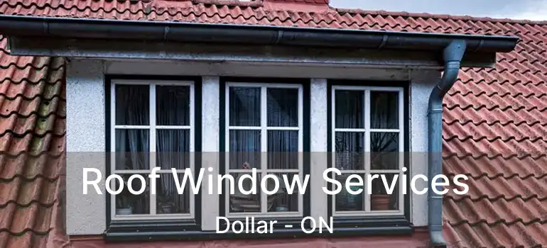 Roof Window Services Dollar - ON