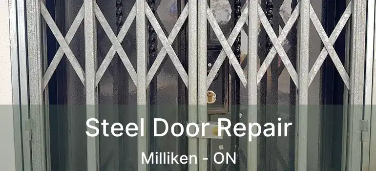 Steel Door Repair Milliken - ON