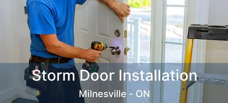 Storm Door Installation Milnesville - ON