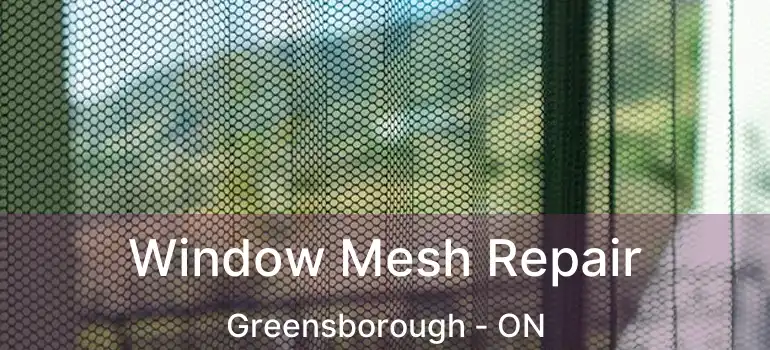 Window Mesh Repair Greensborough - ON