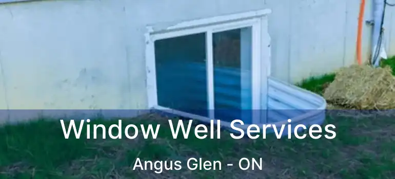 Window Well Services Angus Glen - ON